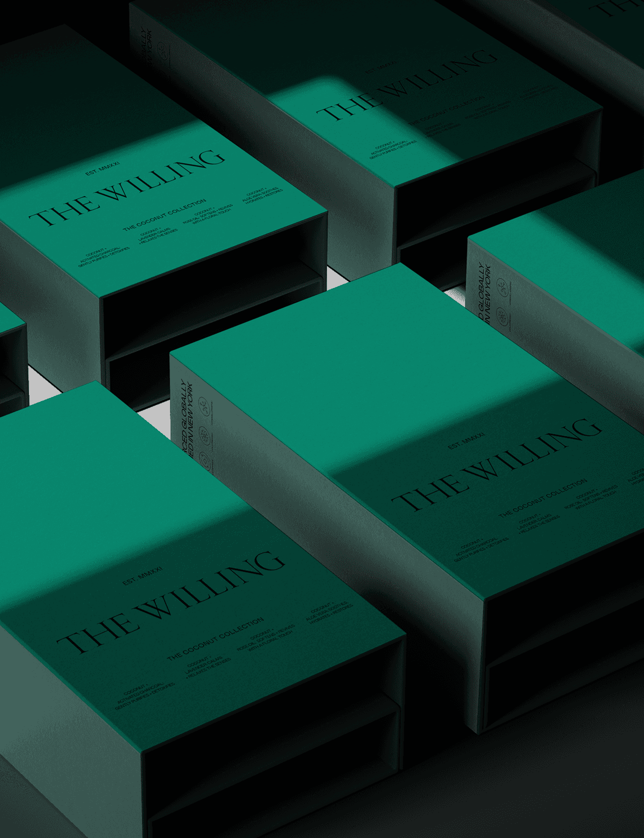 Packaging Design