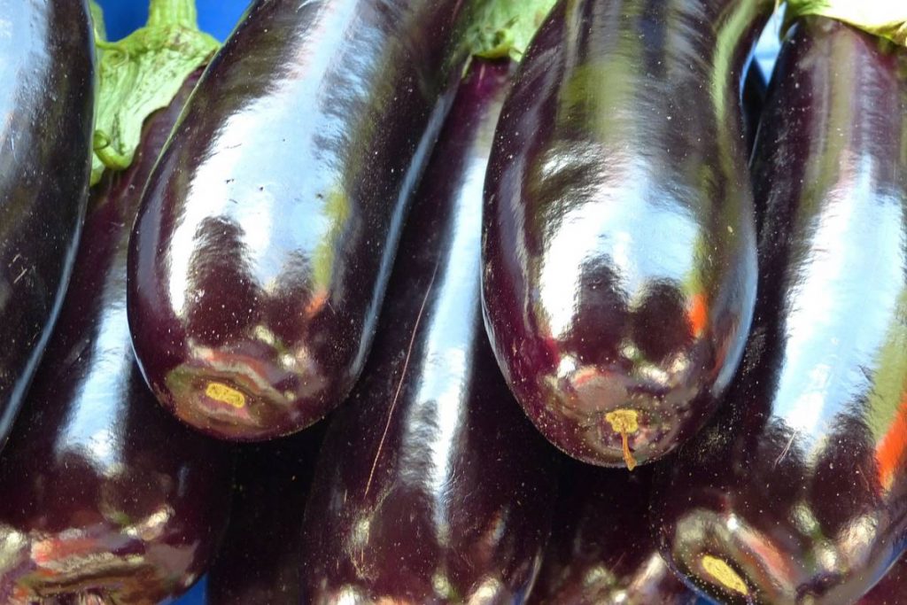 Melanzana lunga nera