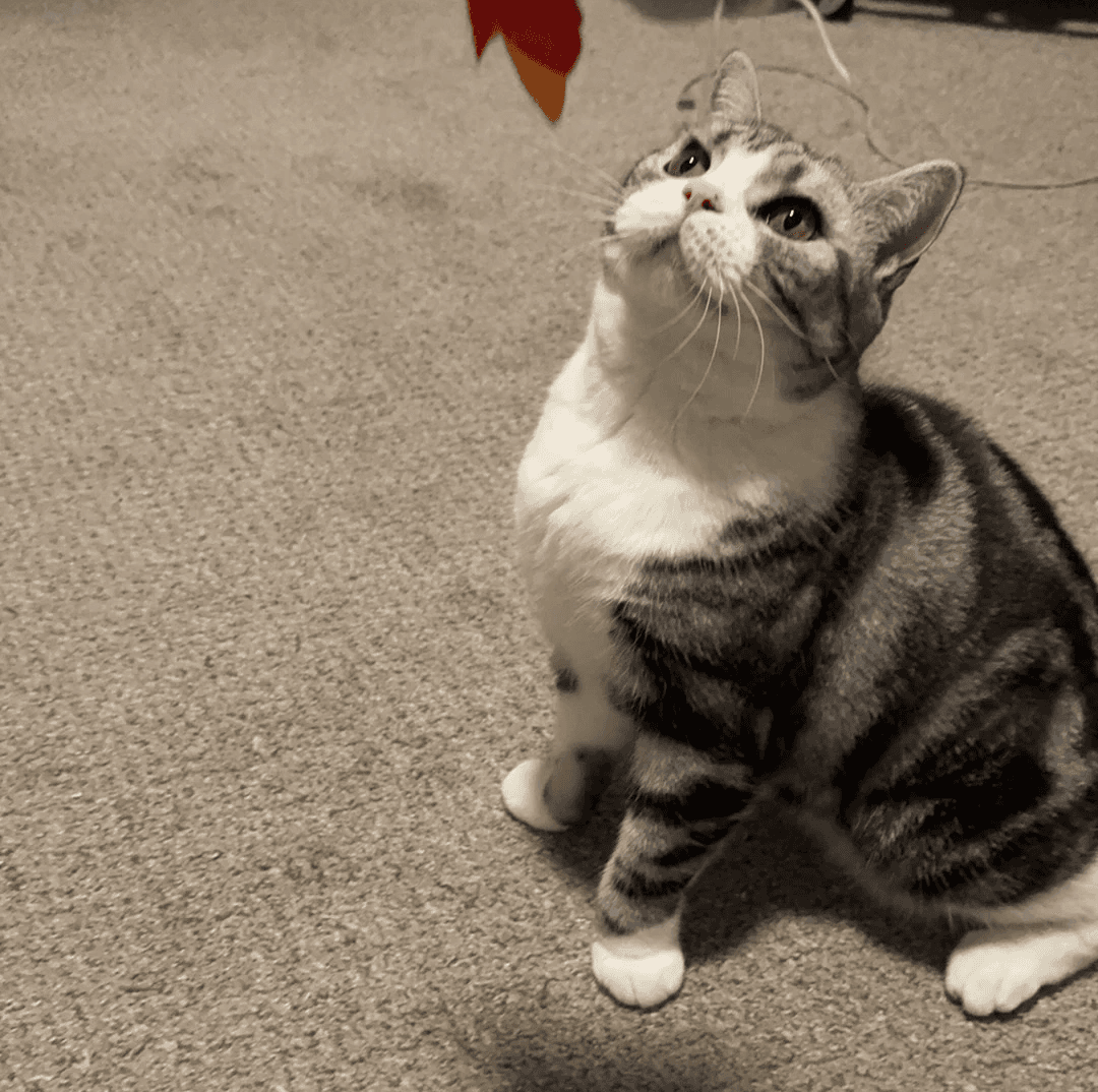 The image featured at the top of the about us page #1