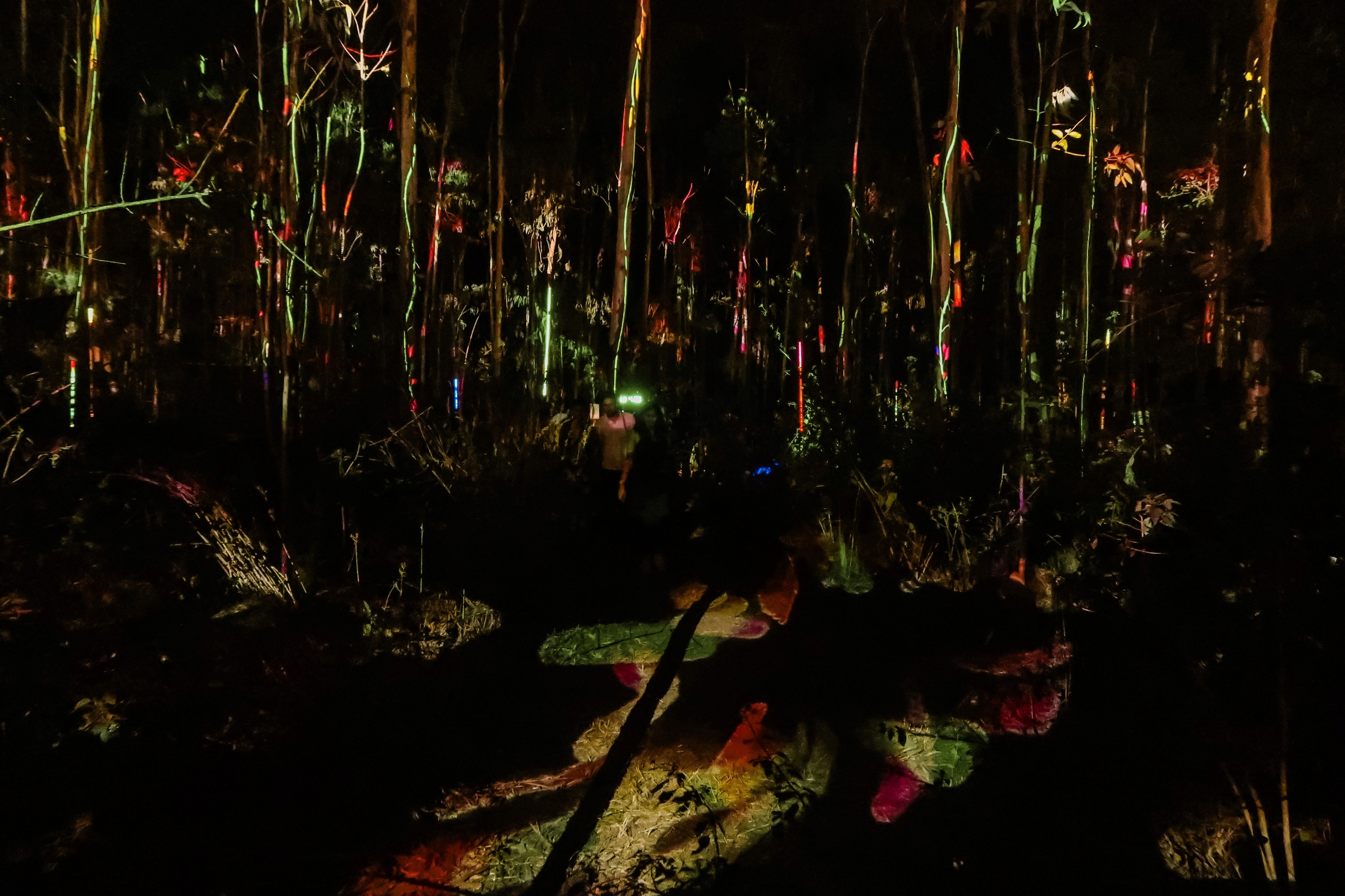 SOLSTICE GARDEN