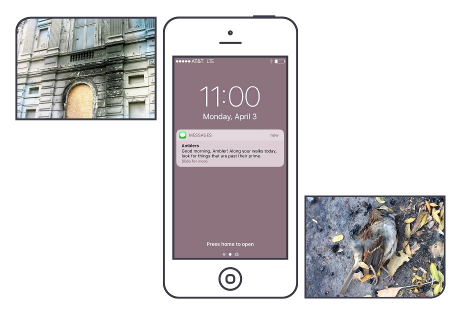 A white iPhone displays the time 11:00 on Monday, April 3. The screen shows a message: “Good morning, Ambler! Along your walks today, look for things that are past their prime. Slide for more.” Below the screen are three smaller images: a weathered stone building, an urban street scene, and a small bird on the ground.