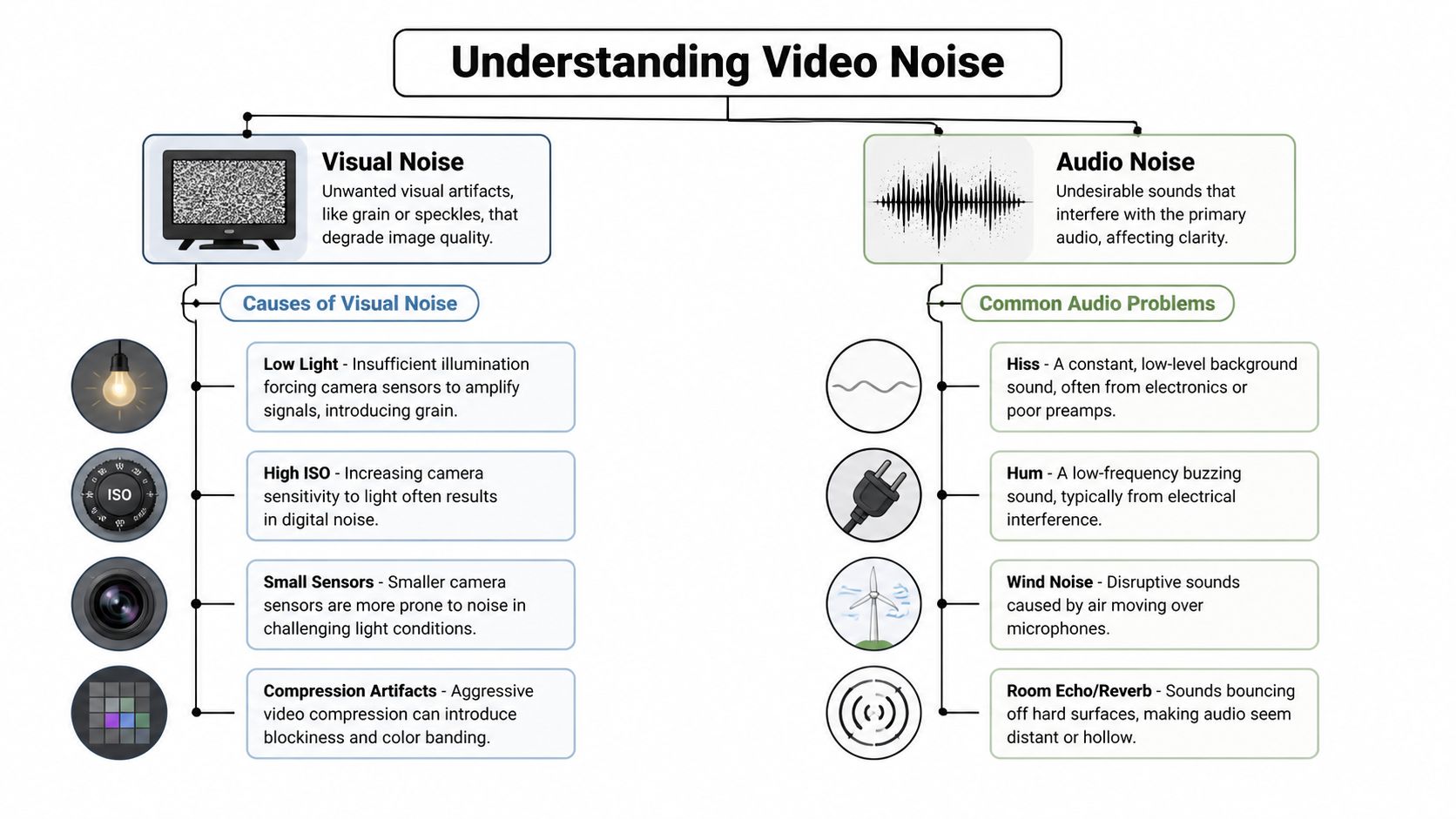 An infographic titled Understanding Video Noise, illustrating causes of visual noise and common audio problems.