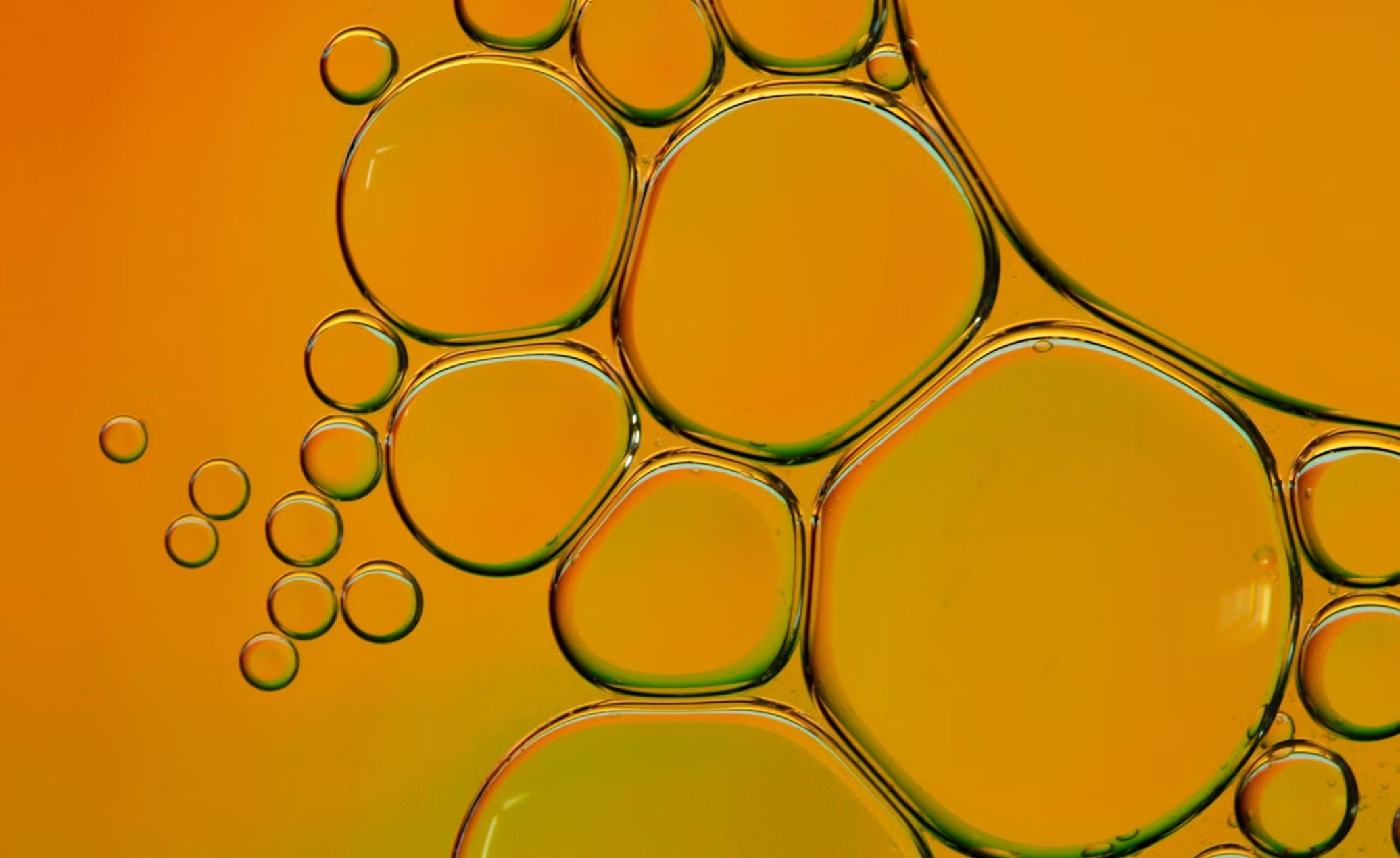 New emerging possibilities of collagen benefits