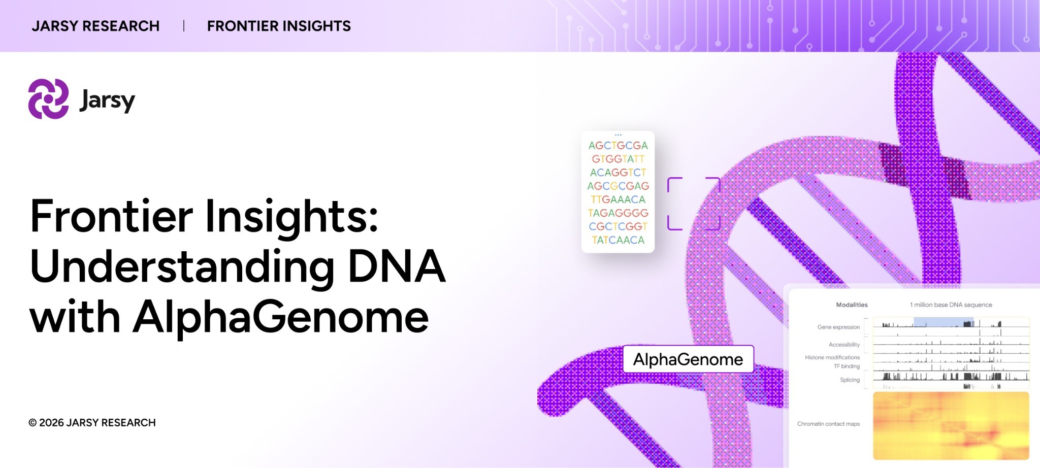How DeepMind combines a wider view of DNA