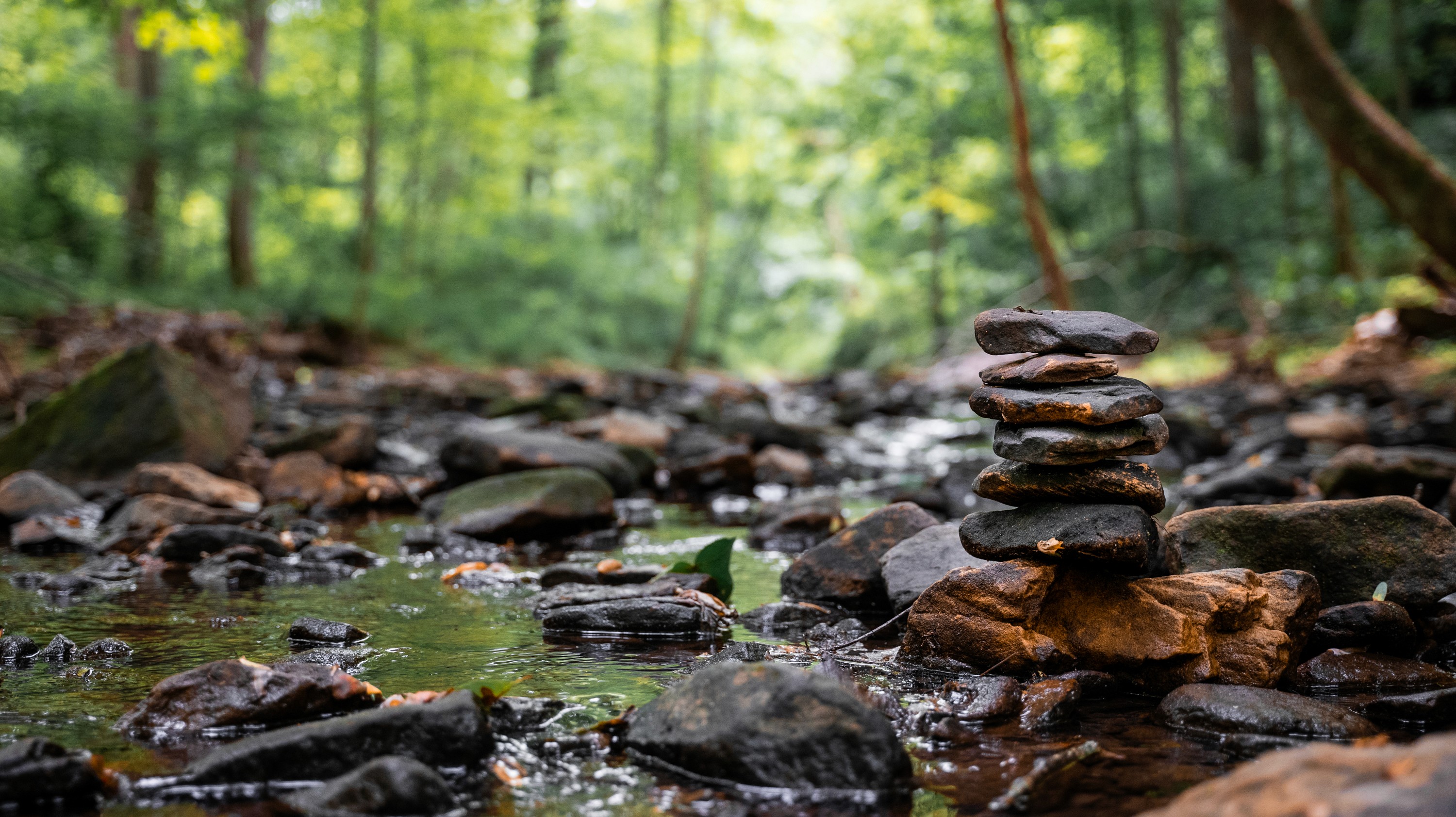 Balance in the Current
