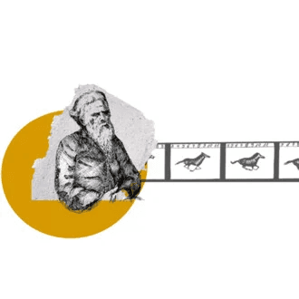 Festiwal Filmowy im. Eadwearda Muybridge’a