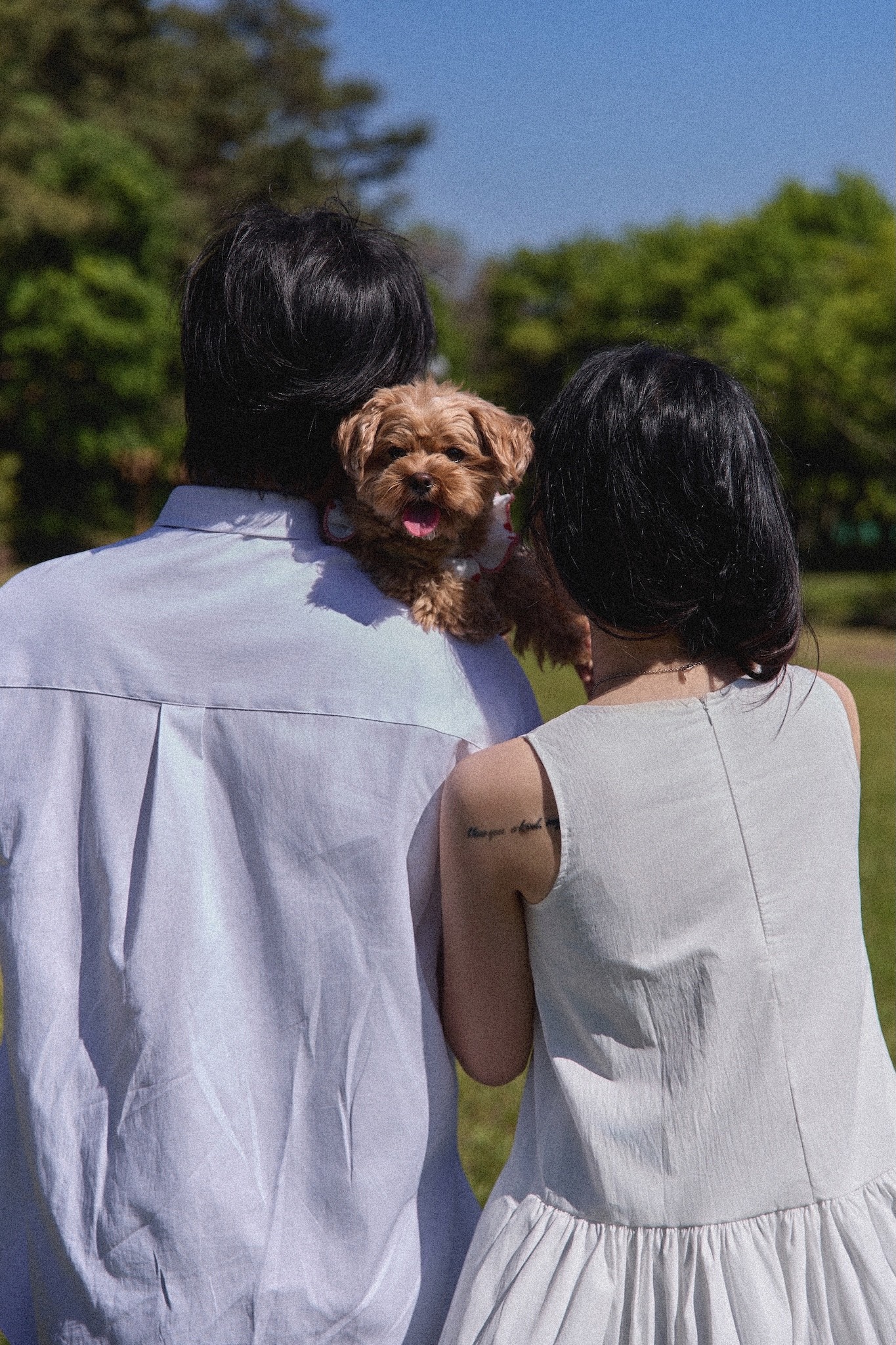 광주웨딩스냅 후기 | 반려견 동반 야외 촬영 노하우 - 하기스스냅