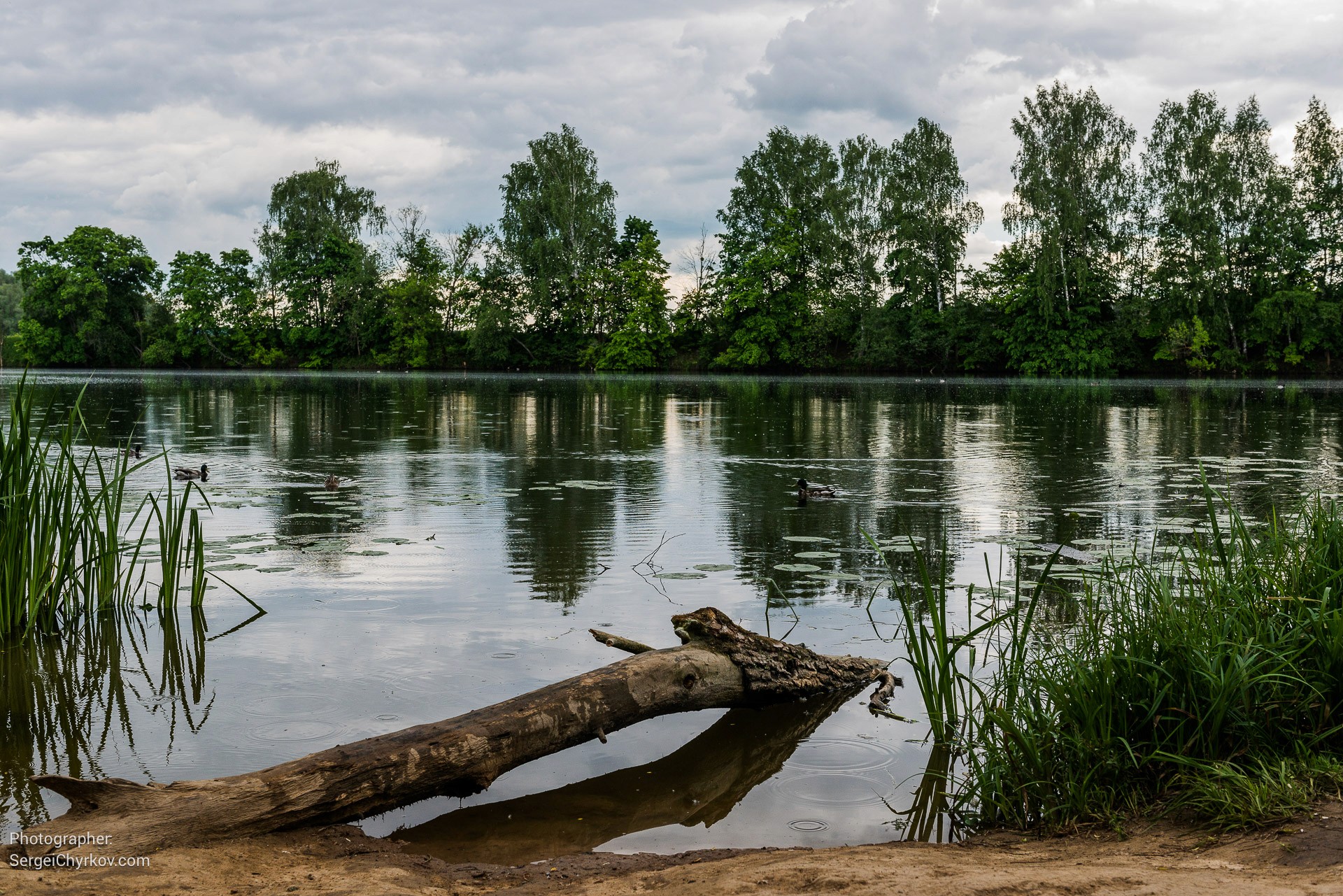 Усадьба Архангельское. Фотограф Сергей Чирков