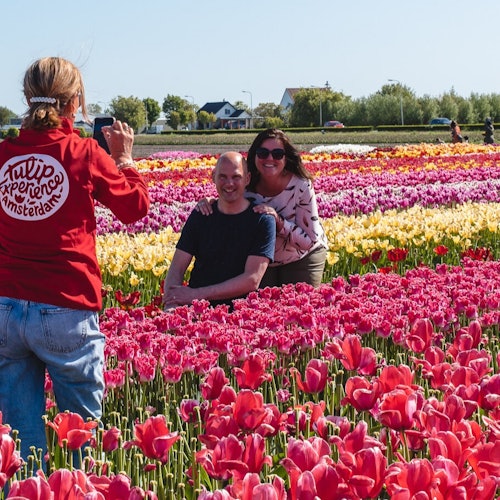 Tulip Experience Amsterdam