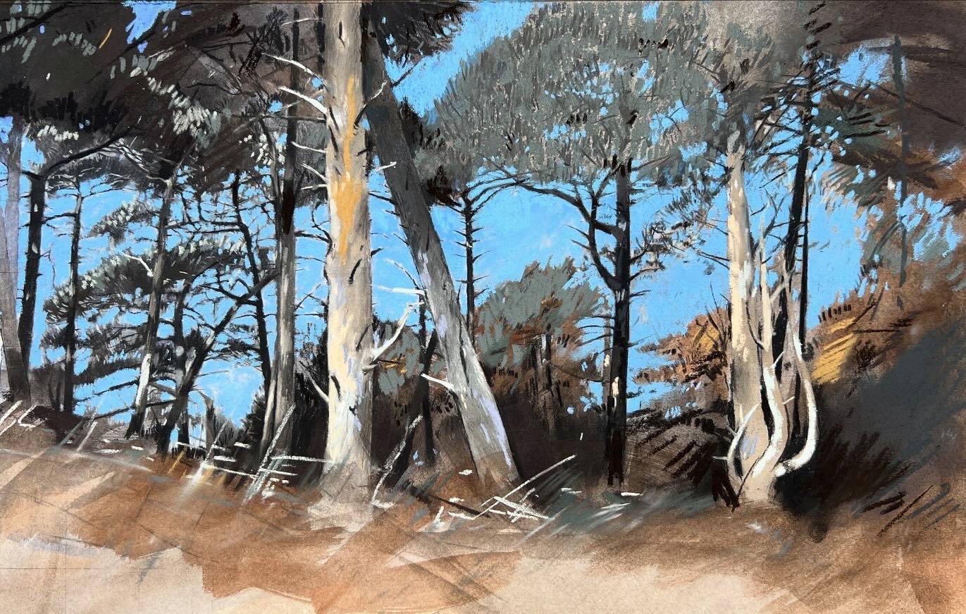 Wind swept trees at Holkham, Norfolk