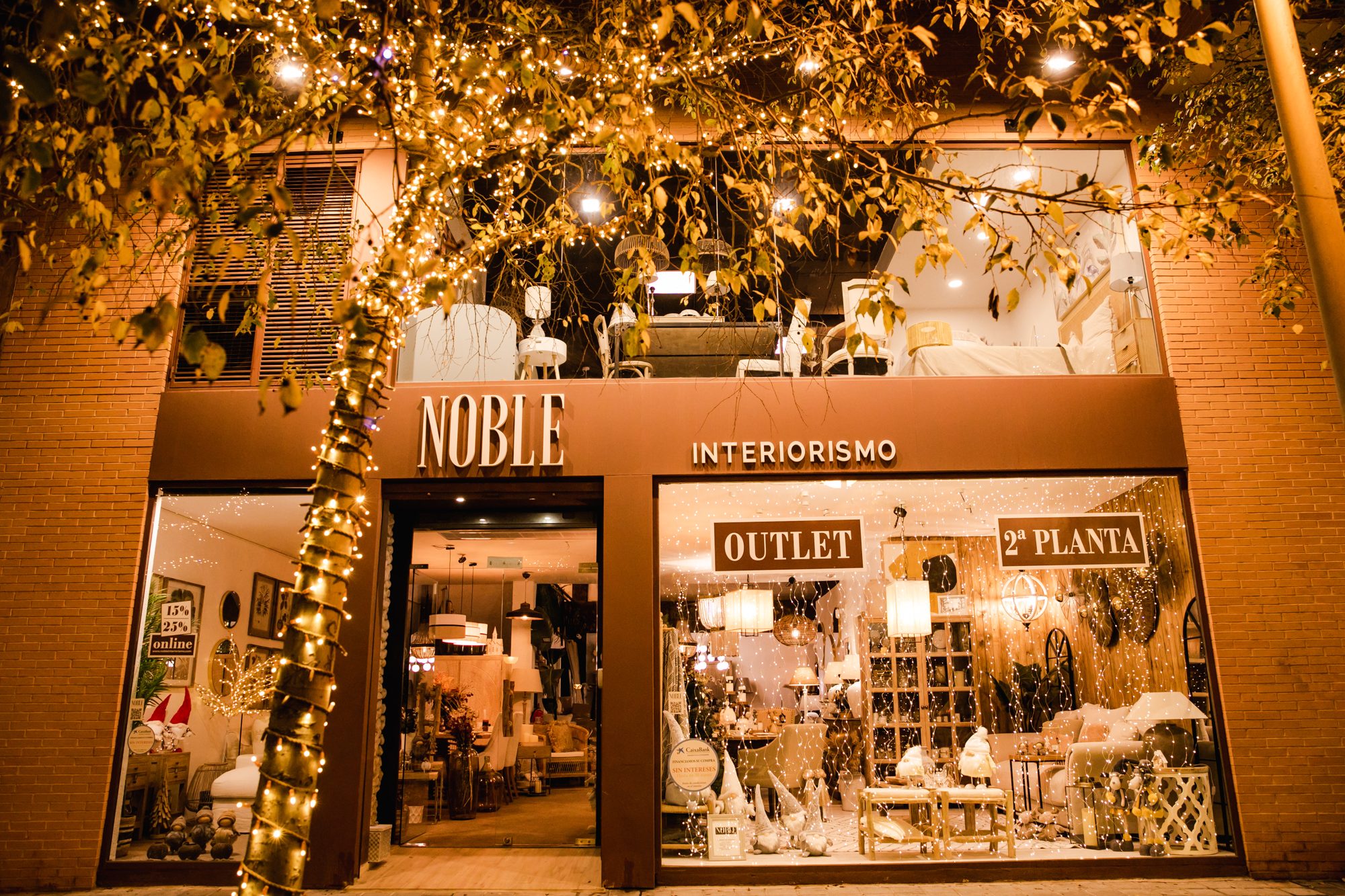 Proyecto 15 · NAVIDAD Y LUZ DECORATIVA · Ledilux