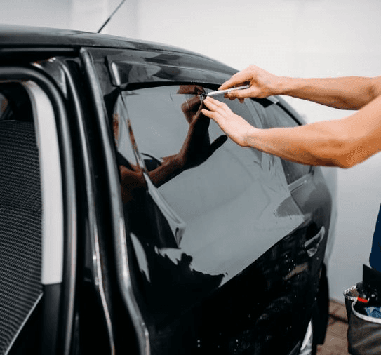 Close-up of a dark green leaf showing its textured surface and central vein against a muted background.