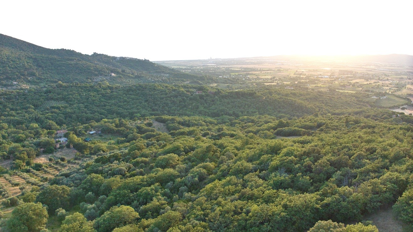 Casale Vista Provenza, Roccatederighi, Maremma Toscana