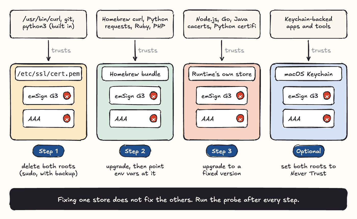 Diagram of four separate trust stores on a Mac and the fix for each: /etc/ssl/cert.pem used by built-in curl, git and python3 (Step 1, delete both roots); the Homebrew bundle used by Homebrew curl and Python requests (Step 2, upgrade and point env vars at it); each runtime's own store used by Node.js, Go, Java and certifi (Step 3, upgrade); and the macOS Keychain used by Keychain-backed apps and tools (optional, set both roots to Never Trust)
