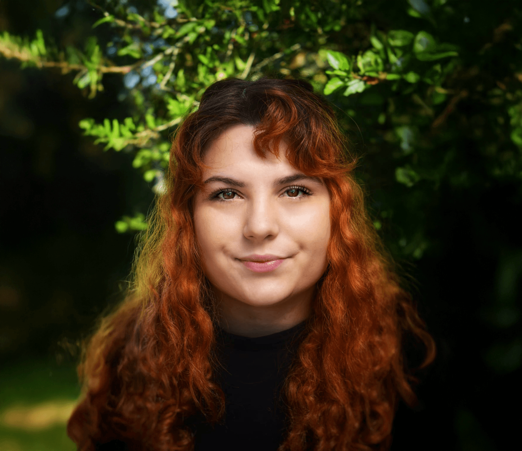 Daniel Hart, Web Designer