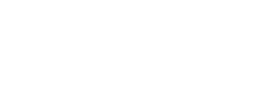 palside logo