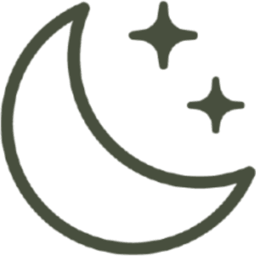 Brain Icon
