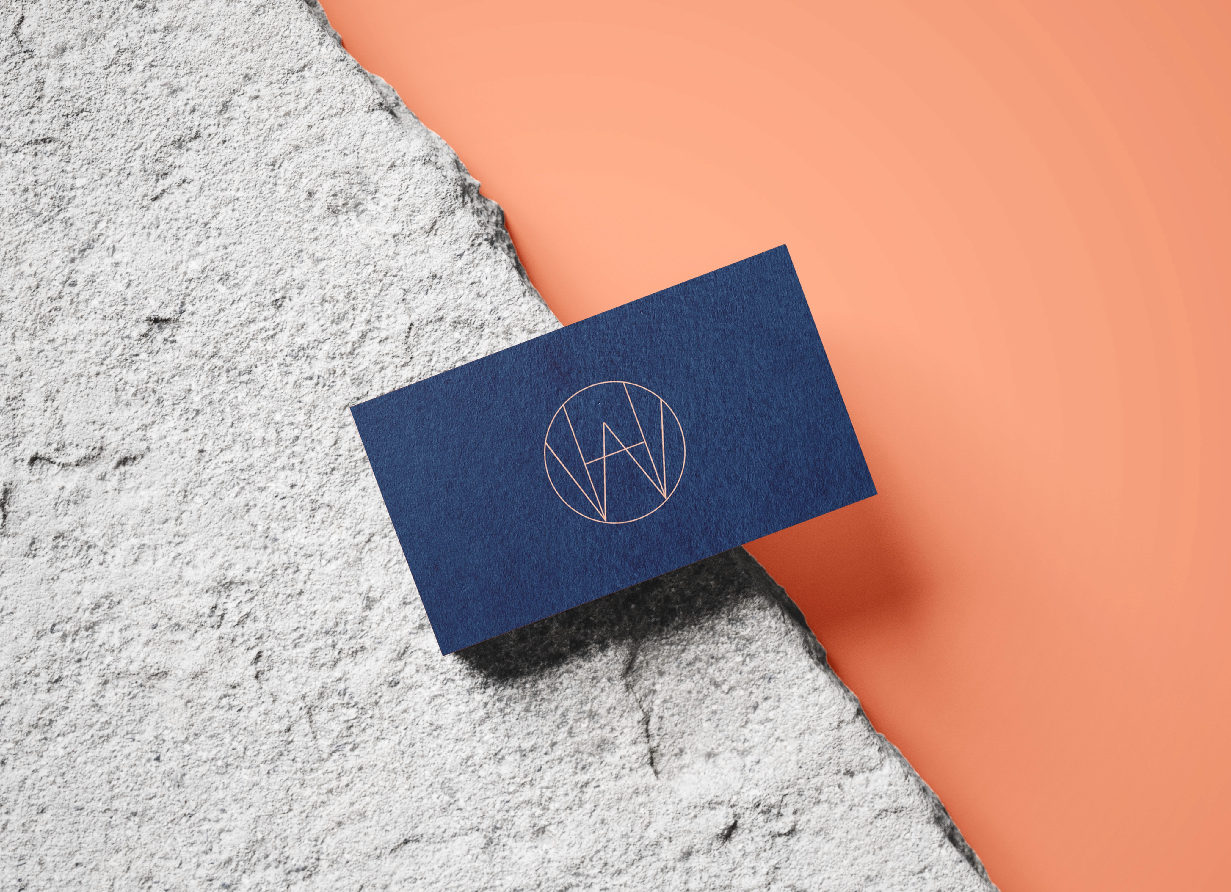 Project Gallery Image for 50% width of the screen #1