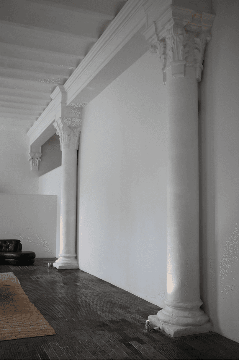 immune system support 