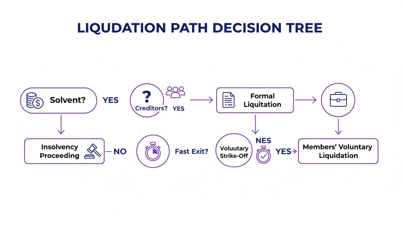 A decision tree flowchart illustrating the different liquidation paths for a company based on solvency and creditors.