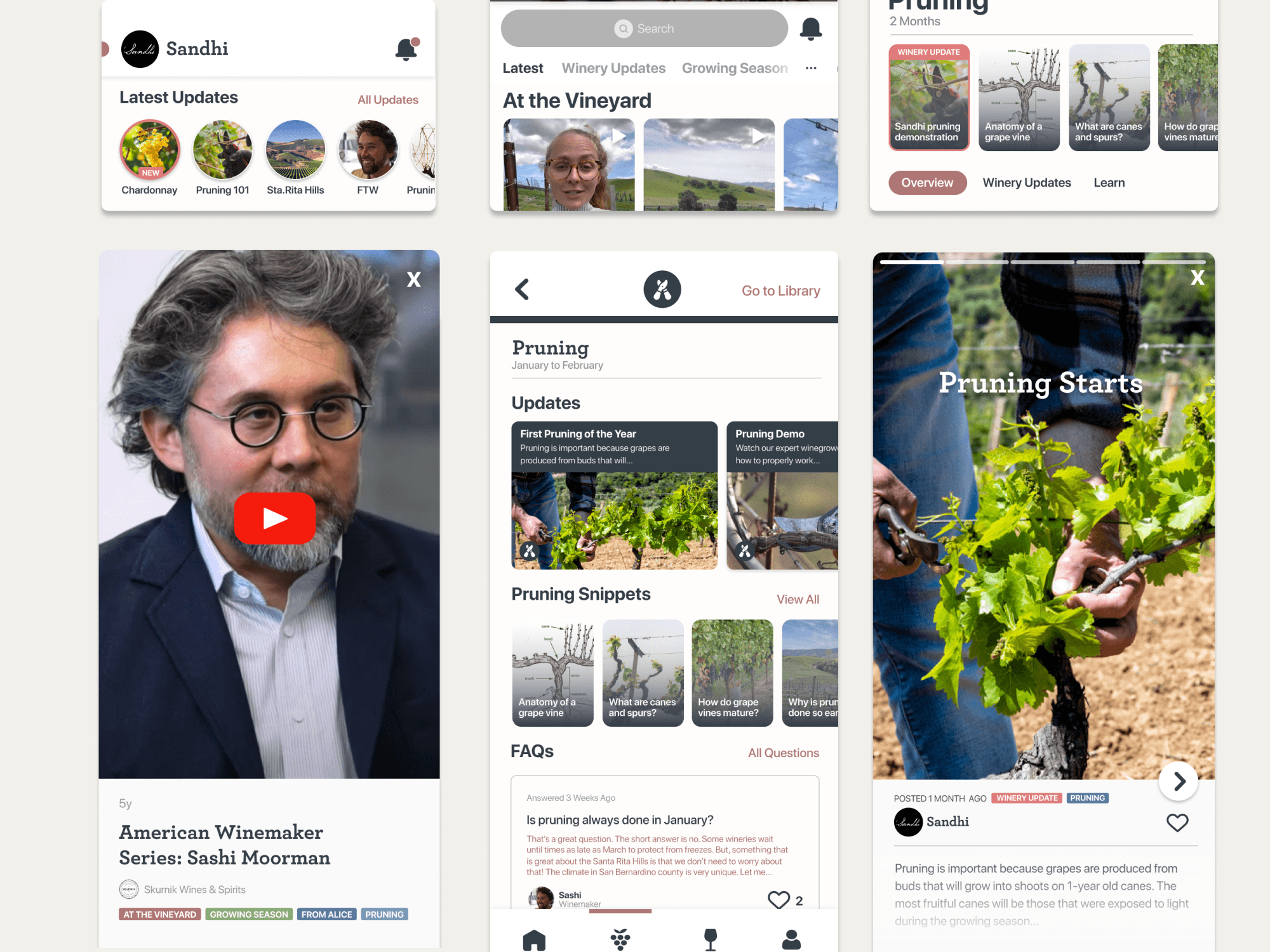 Content Strategy and Logic Planning