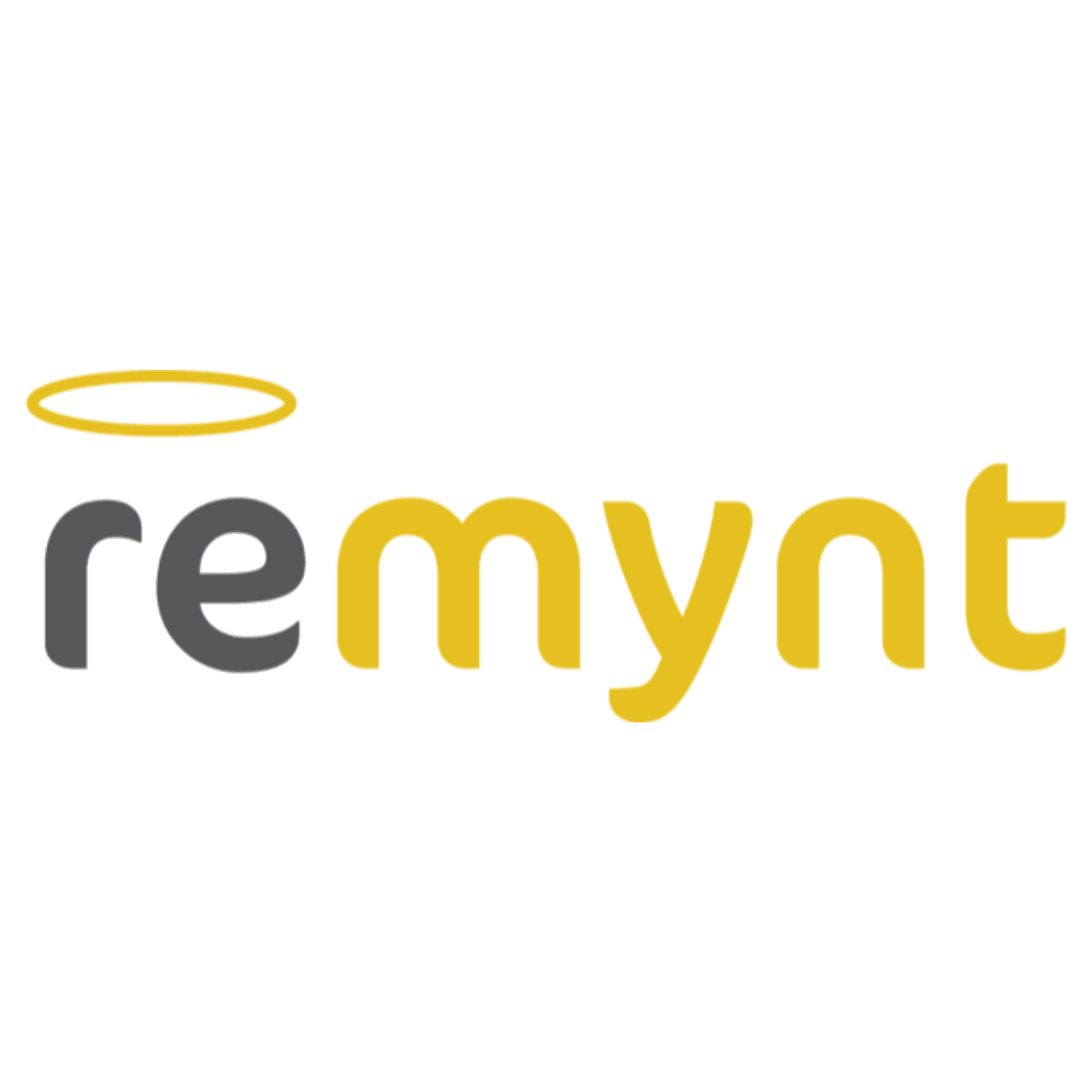 LendAPI FinTech Marketplace - Collections - Remynt