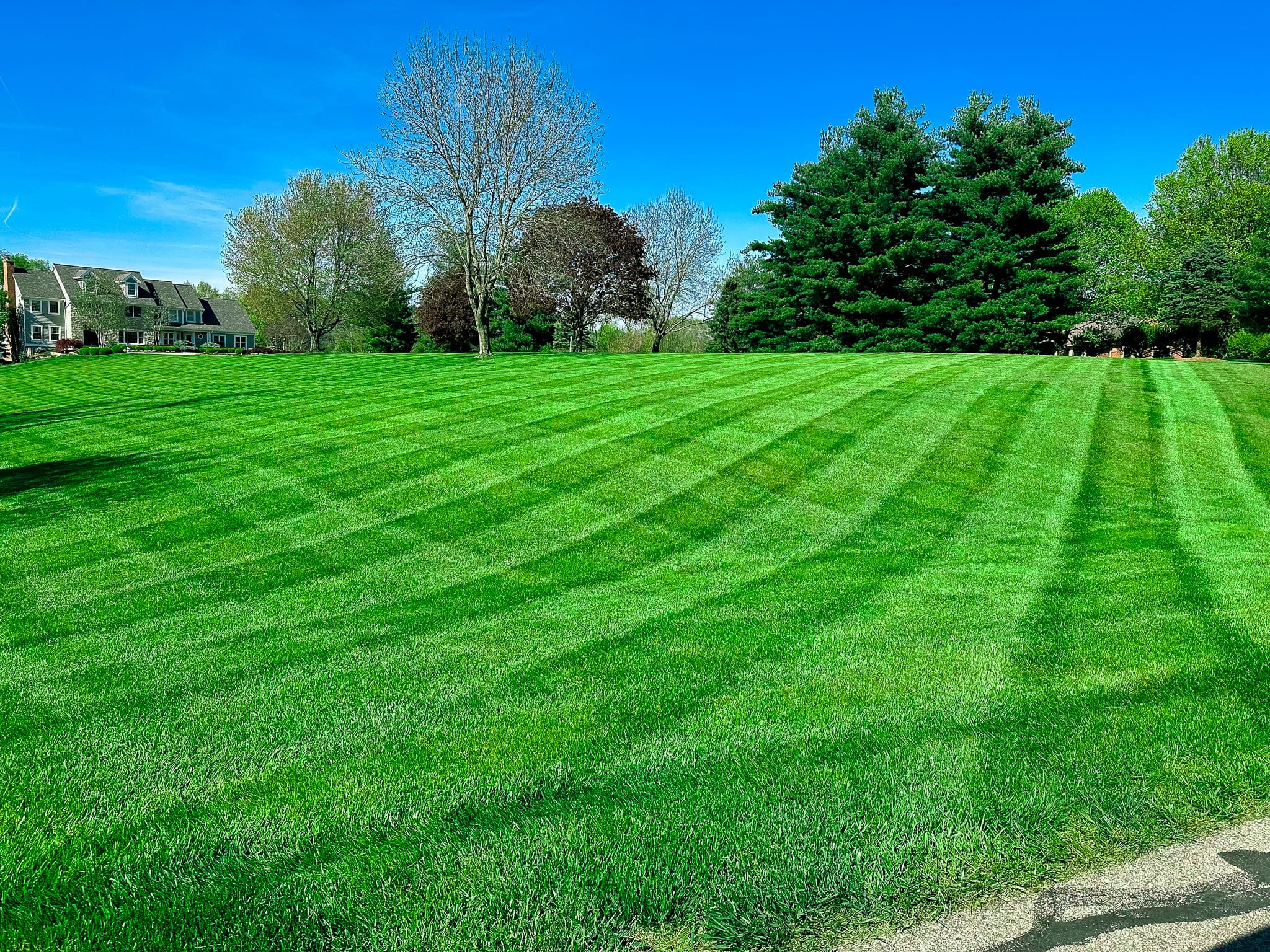 Green Lawn