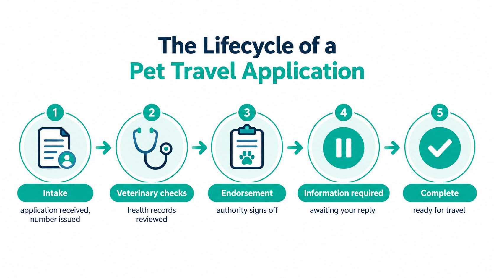 A five-step flowchart illustrating the lifecycle of a pet travel application process from intake to completion.