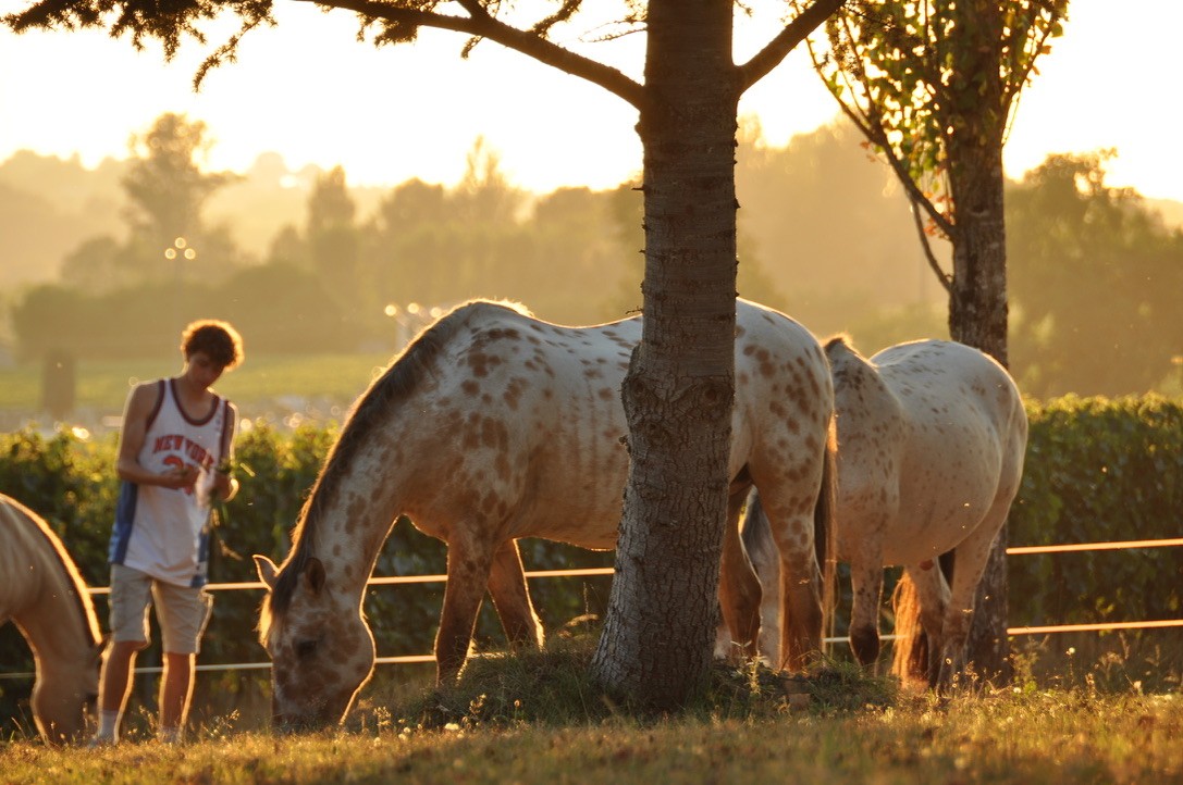 Two people talking on a rooftop at sunset