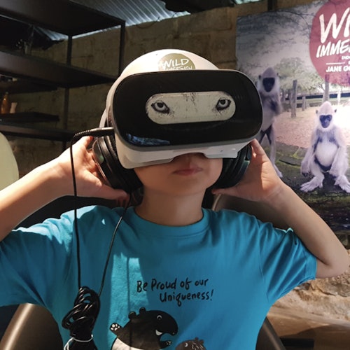 一个小孩戴着带有狼脸设计的虚拟现实头戴式显示器和耳机,坐在室内。背景显示自然海报。