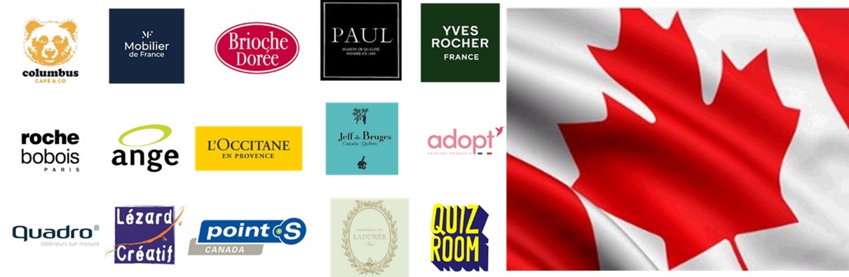 Fireworks illuminate the night sky above a city.