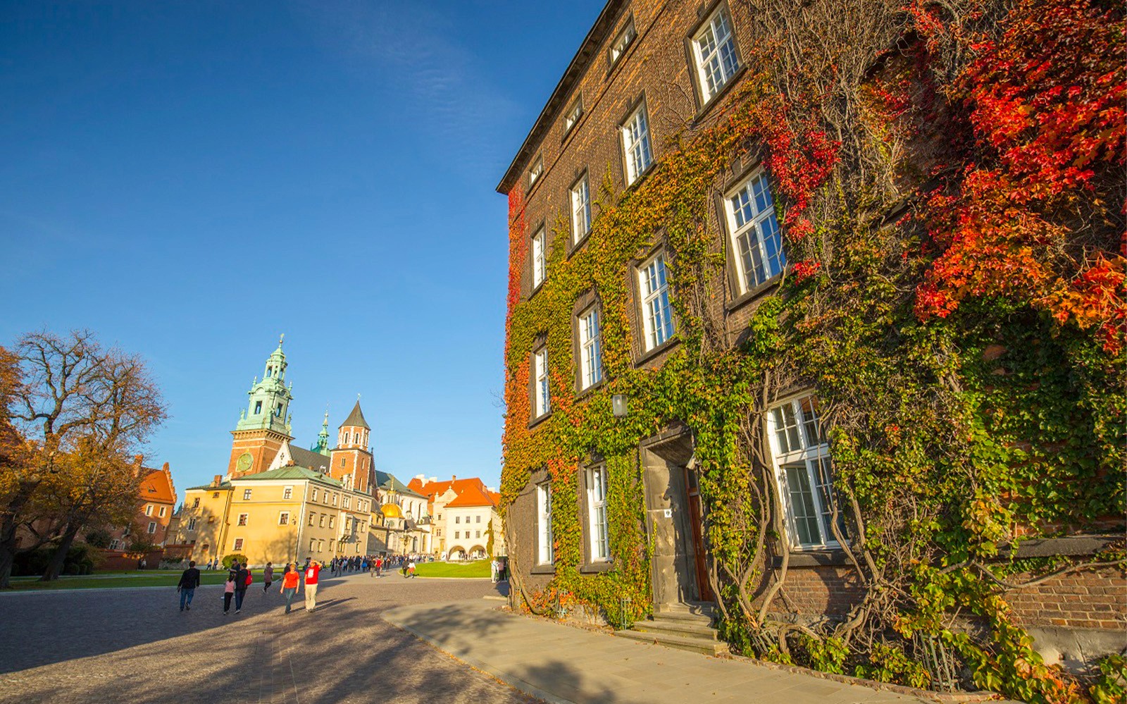 Wawel Castle courtyard with ivy-covered building and tourists, Krakow.