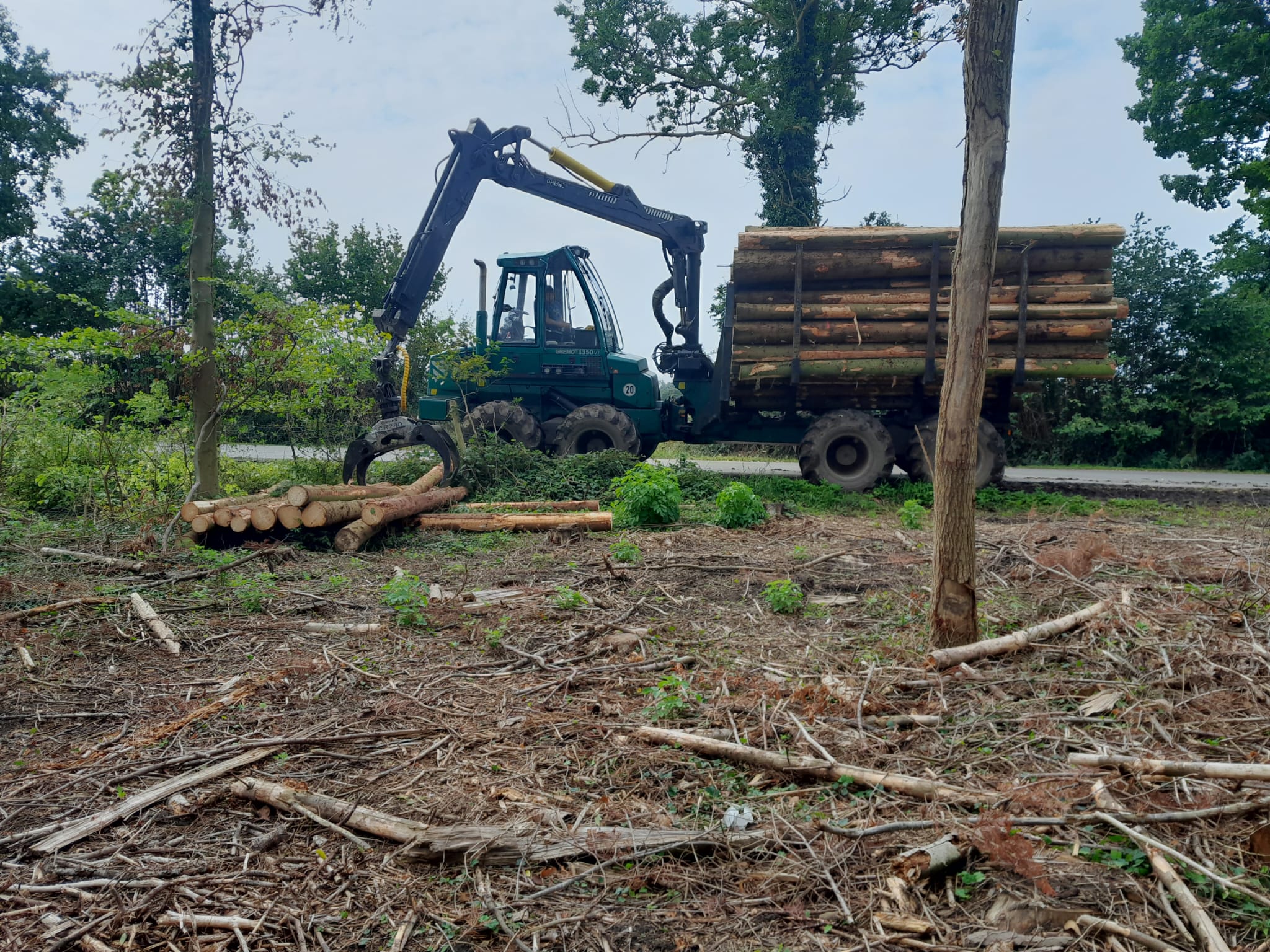 Rückezug beladen mit Holzstämmen bei Forstarbeiten am Waldrand