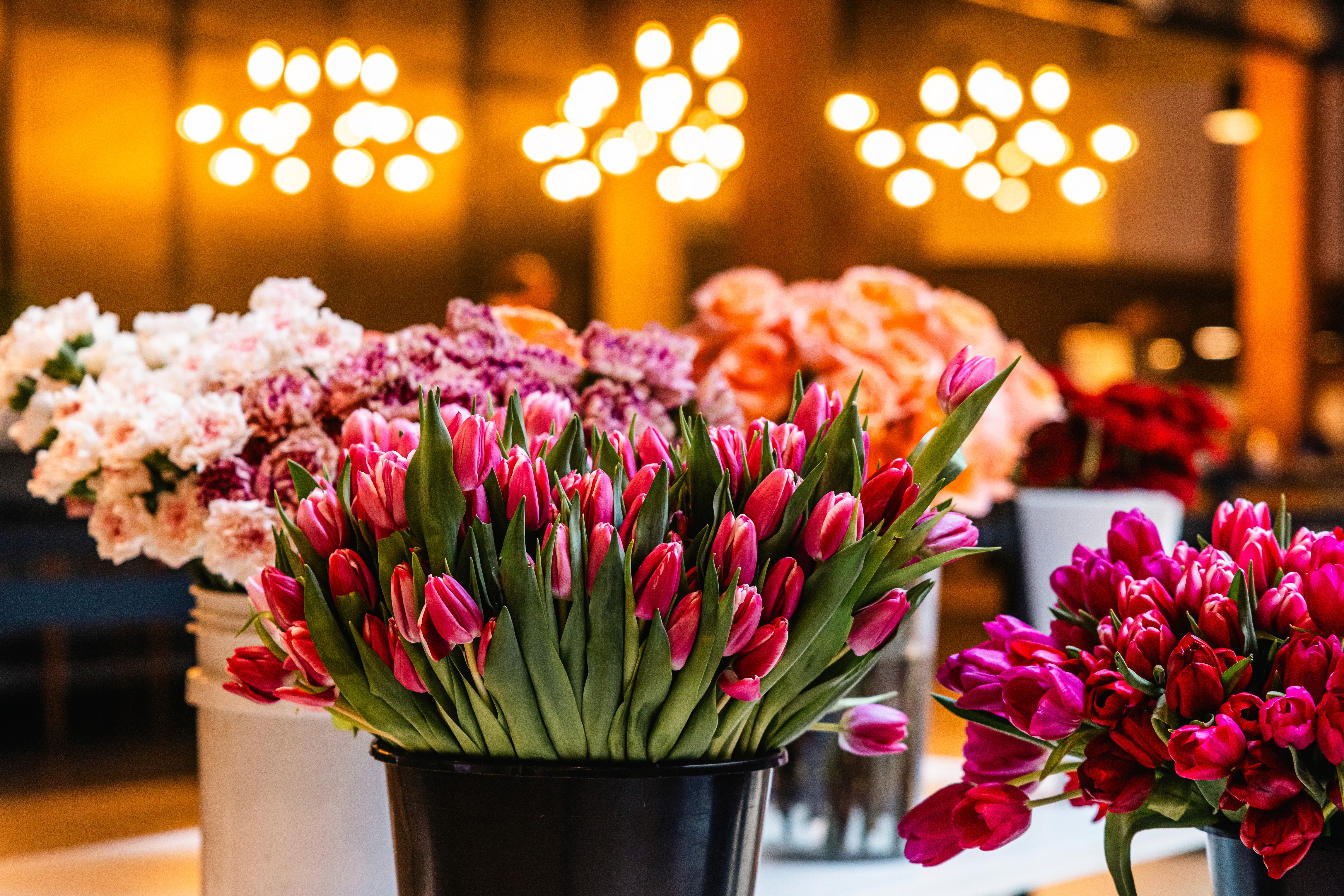 craftsmanship meets elegance