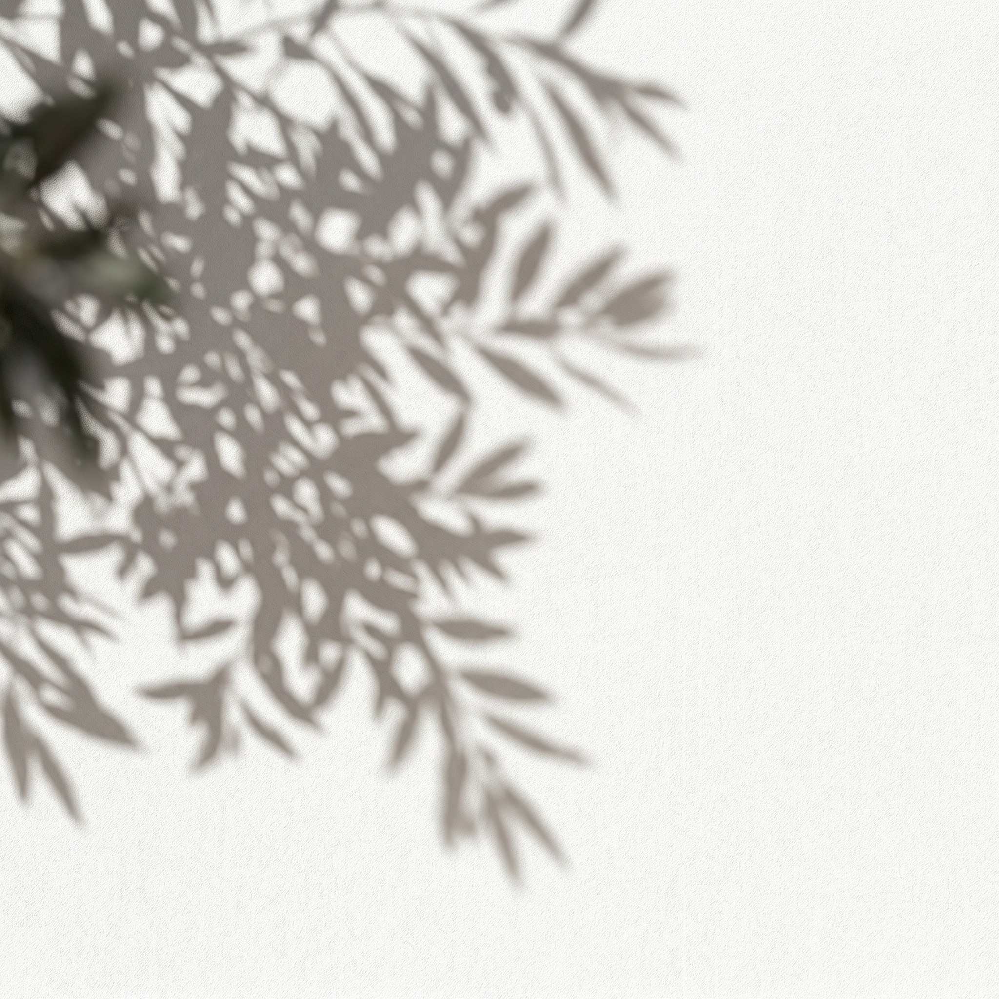 floral silhouette
