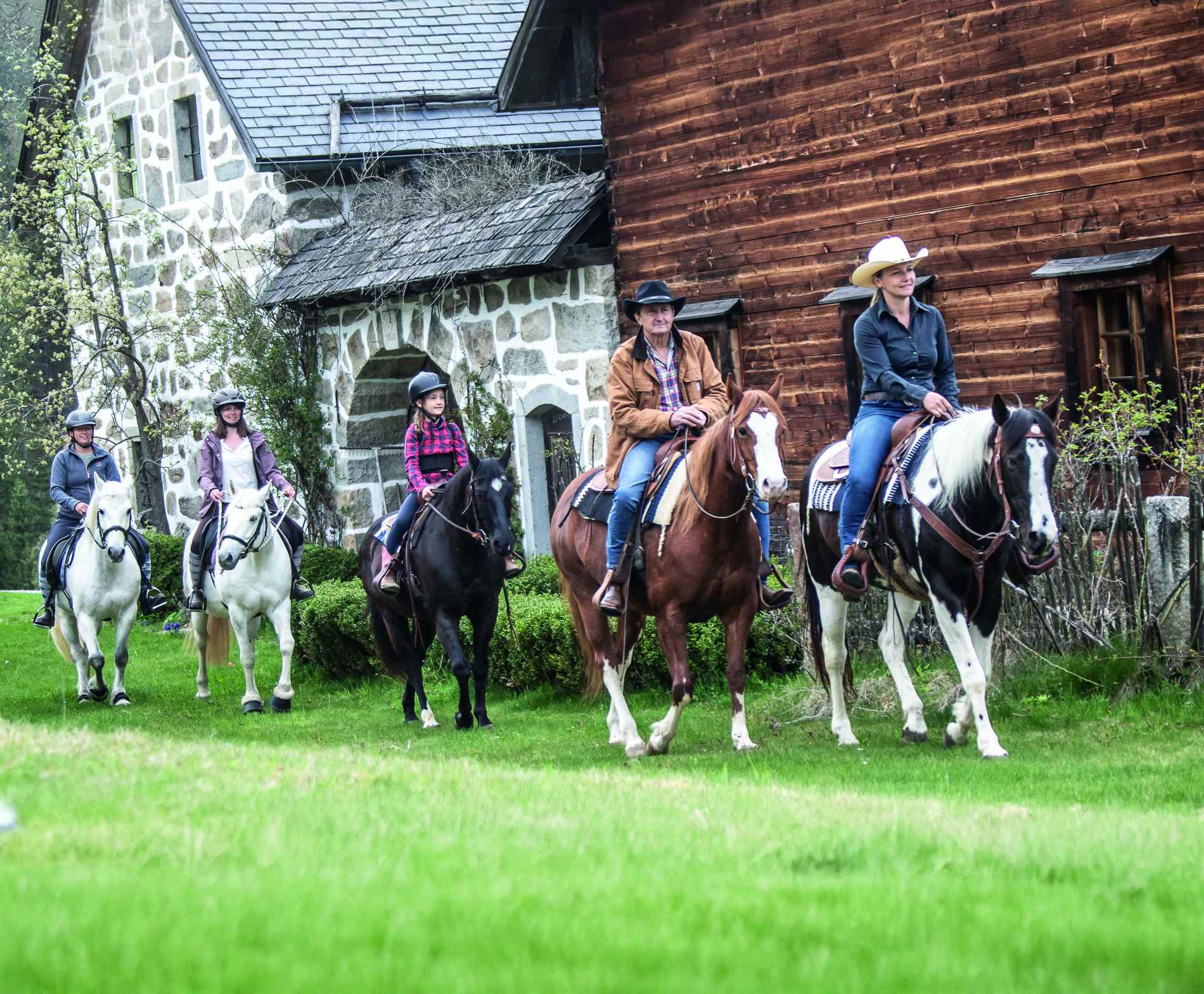 Close-up of a dark green leaf showing its textured surface and central vein against a muted background.