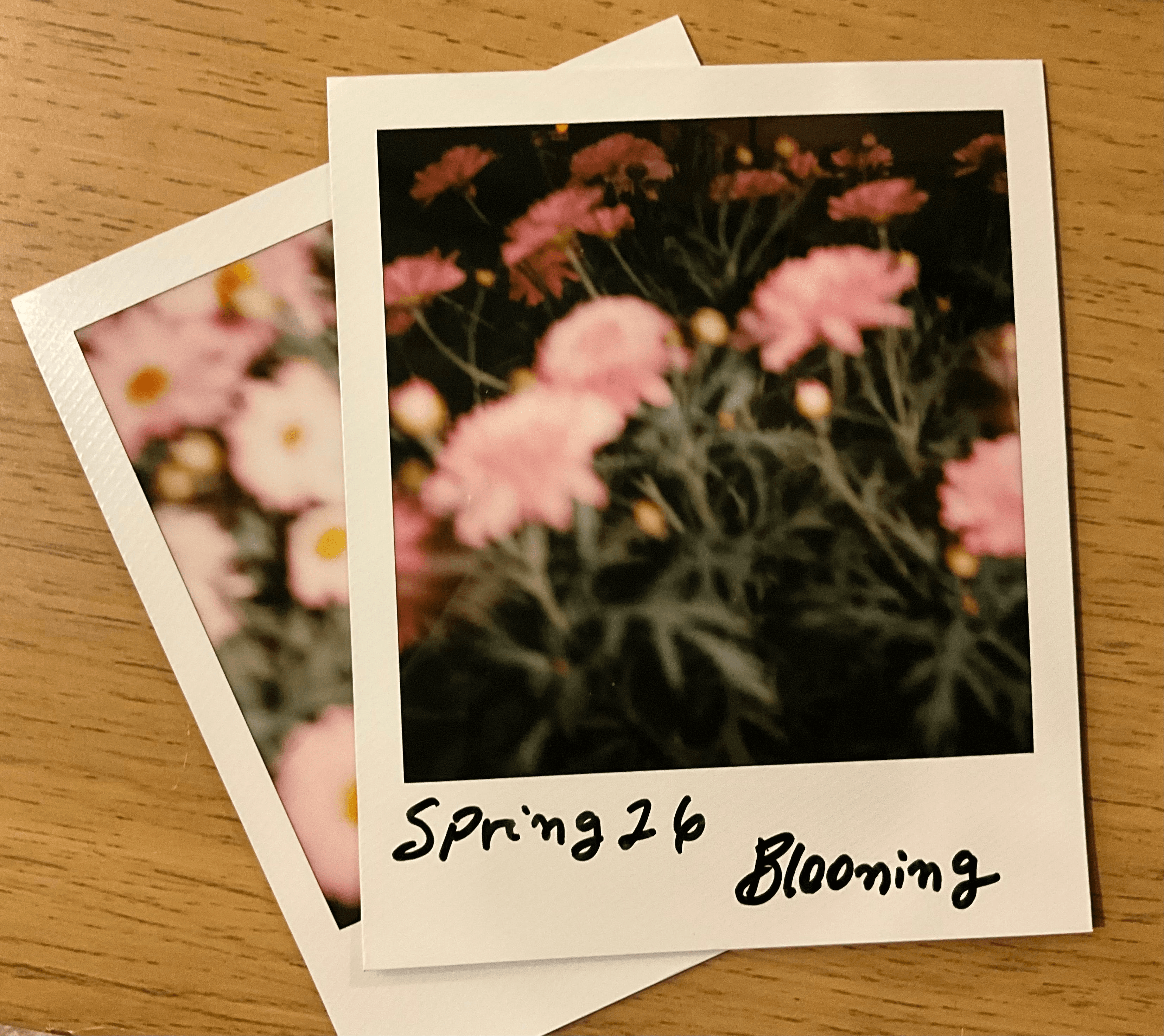 How to Gain Creative Confidence as a Neurodivergent in the UX/UI World