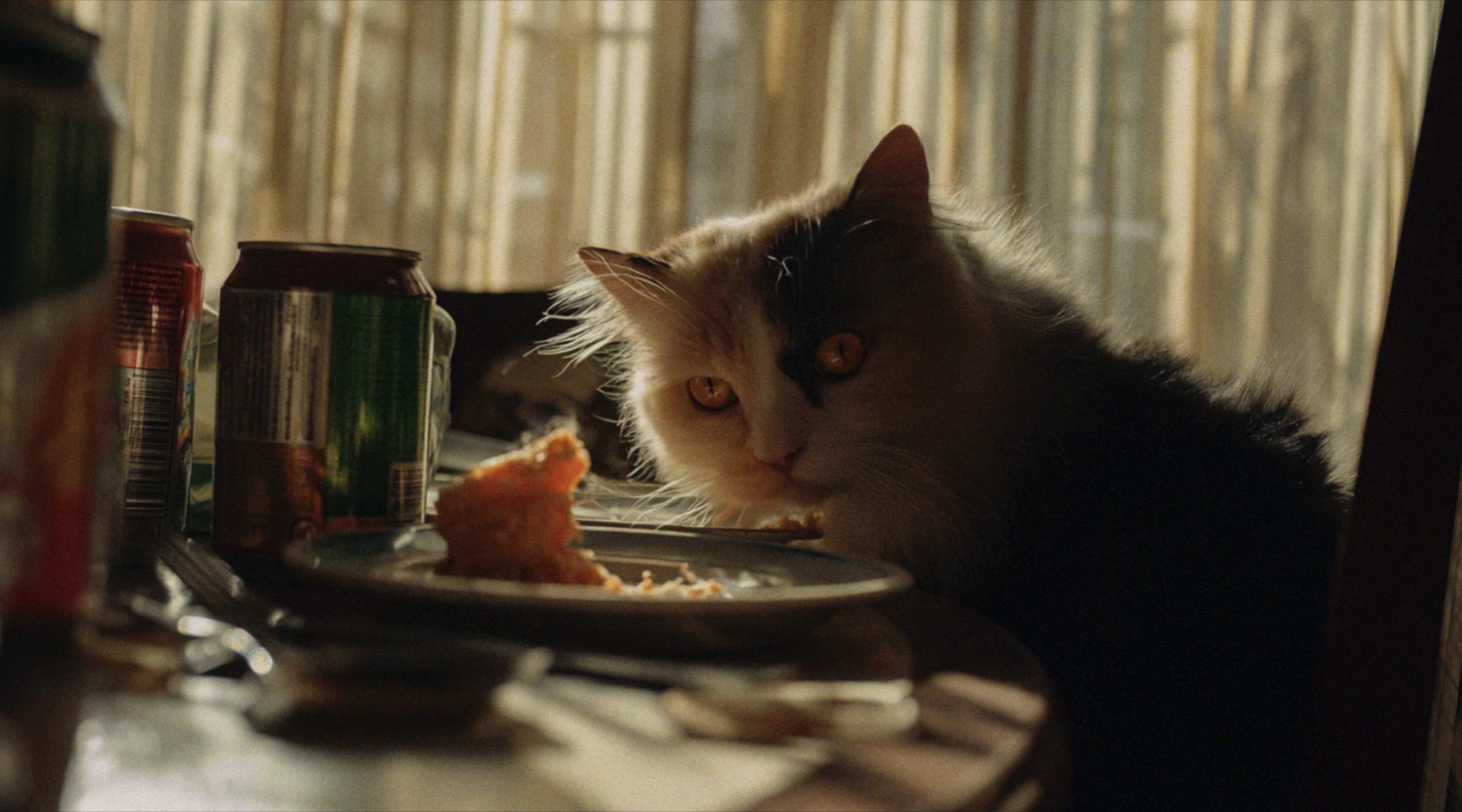 AI-generated cinematic image of a cat sitting at a cluttered table, staring toward the camera beside half-eaten food and soda cans in warm, dramatic lighting.