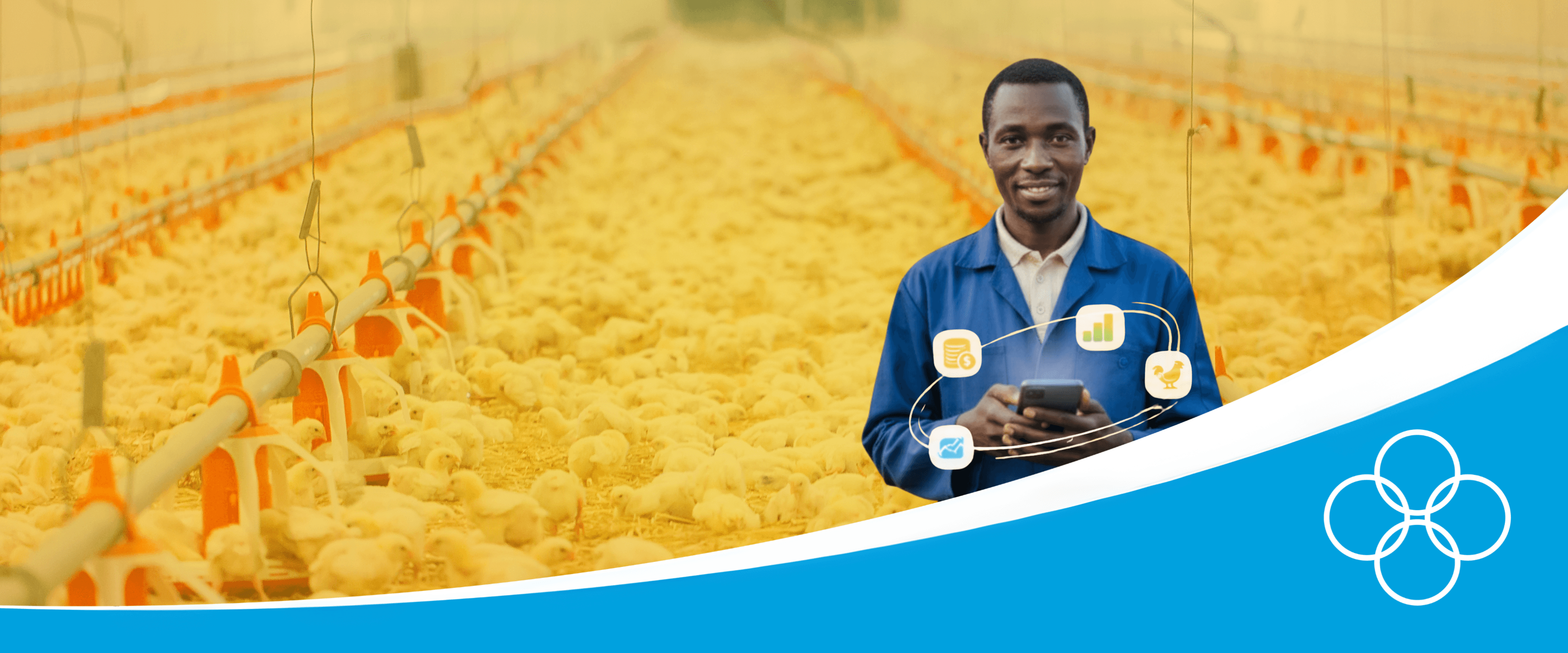 Poultry farmer in a blue overall with a phone in his hand with 123POULTRY app on his screen
