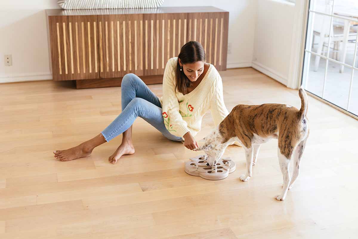 Woman playing with her dog on durable hybrid flooring in a Brisbane home, with slip resistance and water protection that keeps floors looking calm through active pet moments.