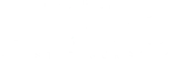 Dr Bravo Plastic Surgery Logo