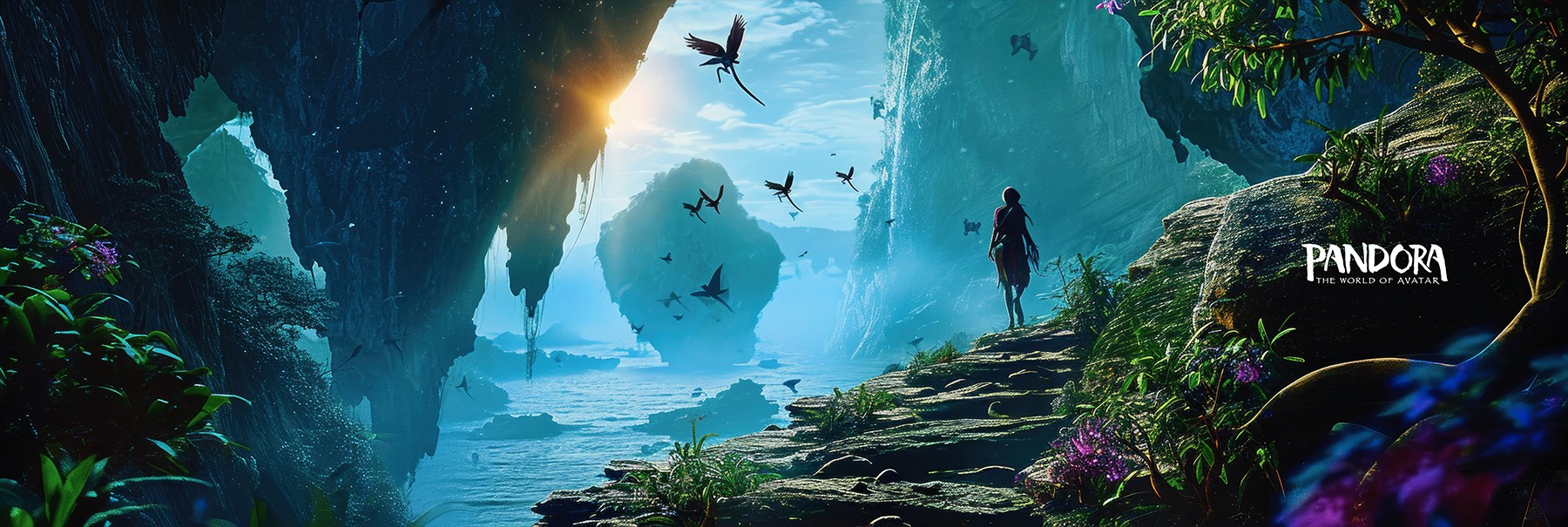 The image featured in the middle of the about us page