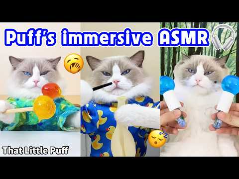 Thumbnail of a recent video from creator