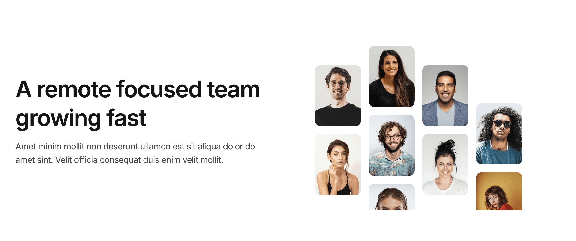 Team Component / 018
