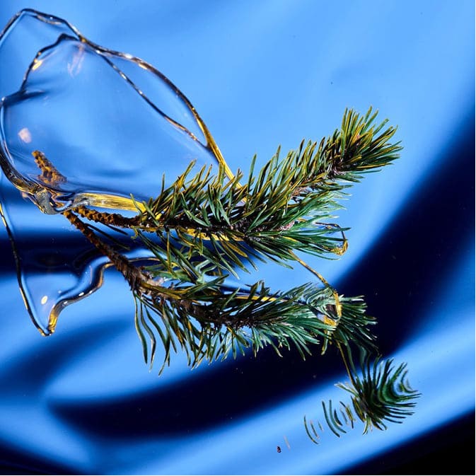 Alpine plant botanical ingredient with liquid texture symbolizing Swiss natural skincare and plant-based extracts