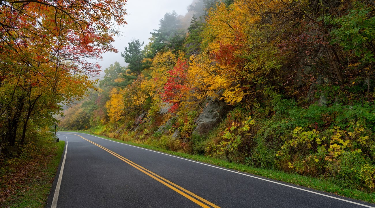 Visit Skyline Drive Shenandoah National Park Virginia