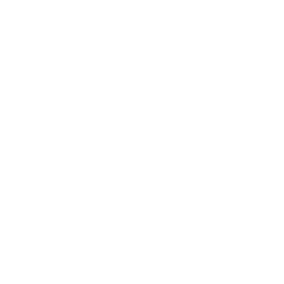 Voleur logo