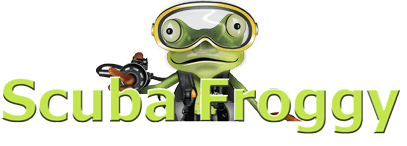 Scuba Froggy lombok dive center scuba diving center indonesia company logo