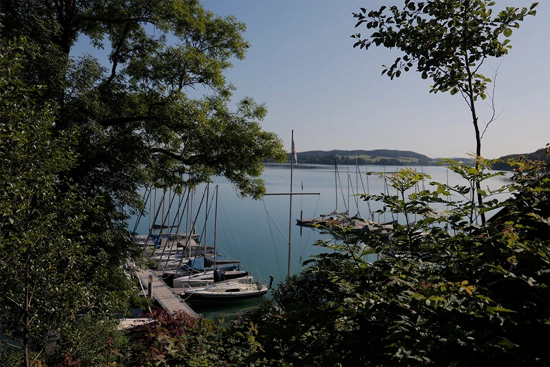 Blick durch Bäume und Büsche auf den See mit Booten und dem Schloss Mattsee am Horizont.