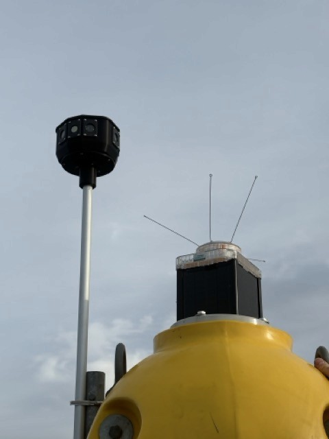 Fashion photoshoot with a woman posing in a dress